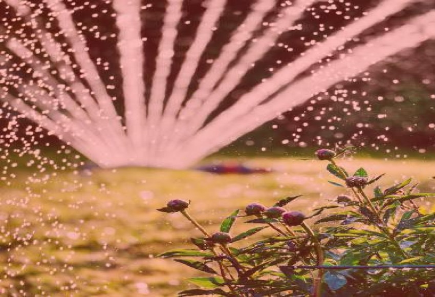 خدمات المسطحات الخضراء