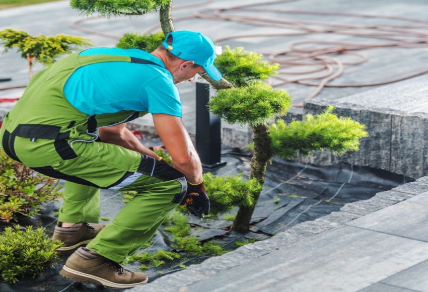 خدمات المسطحات الخضراء